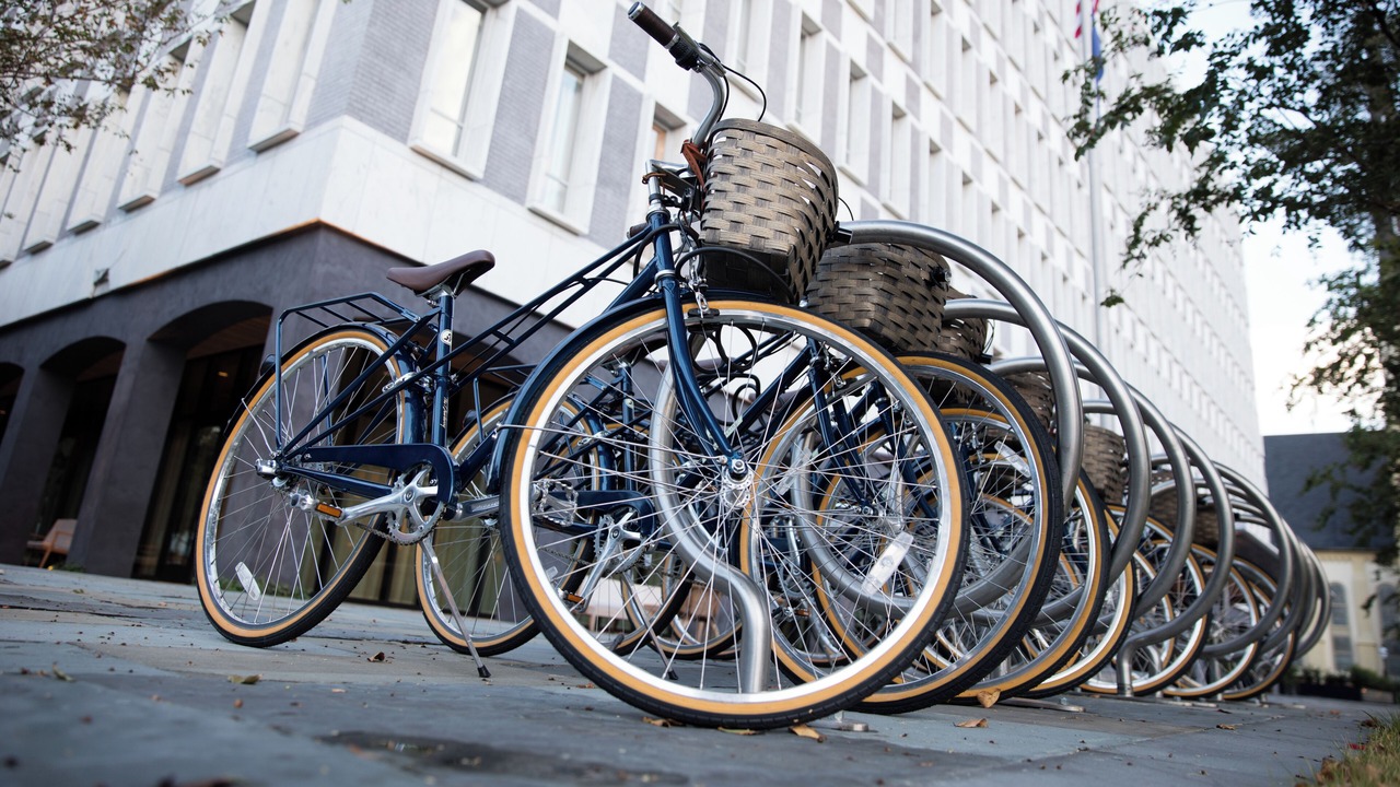 Photo of Outdoor in Downtown Charleston