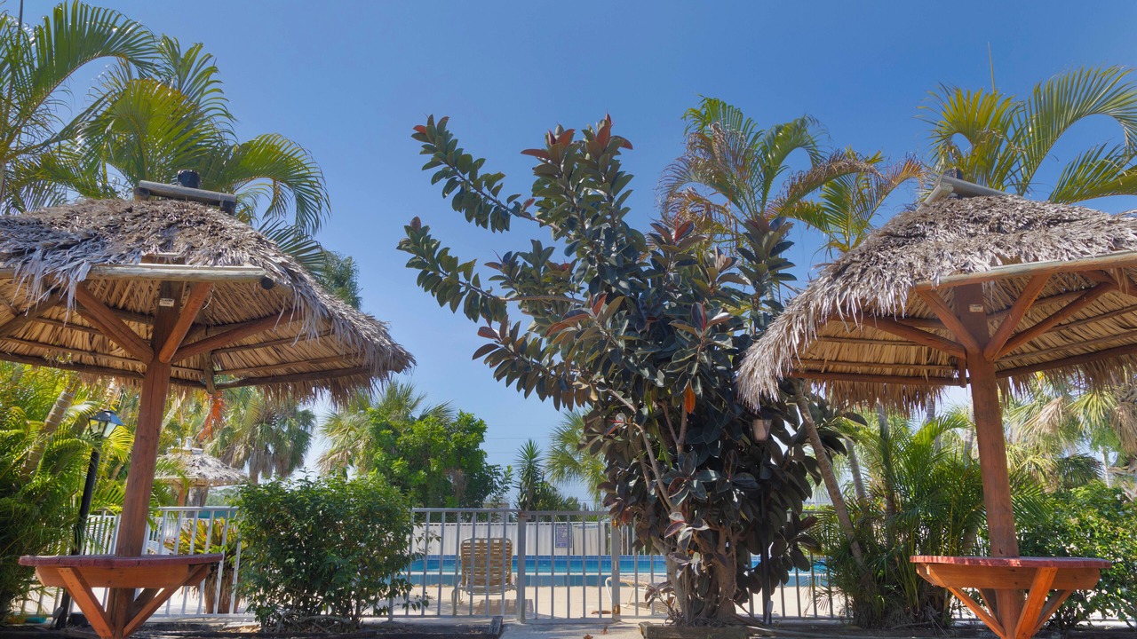 Photo of Outdoor in Warm Mineral Springs