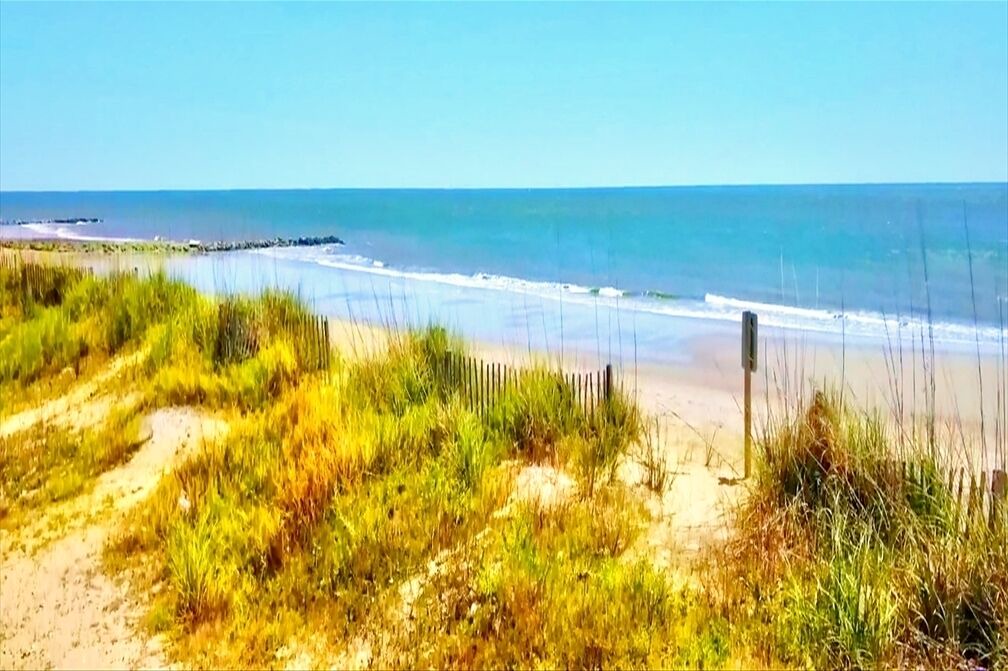 Photo of Others in Edisto Island