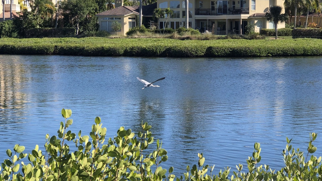 Photo of Others in Grand Harbor