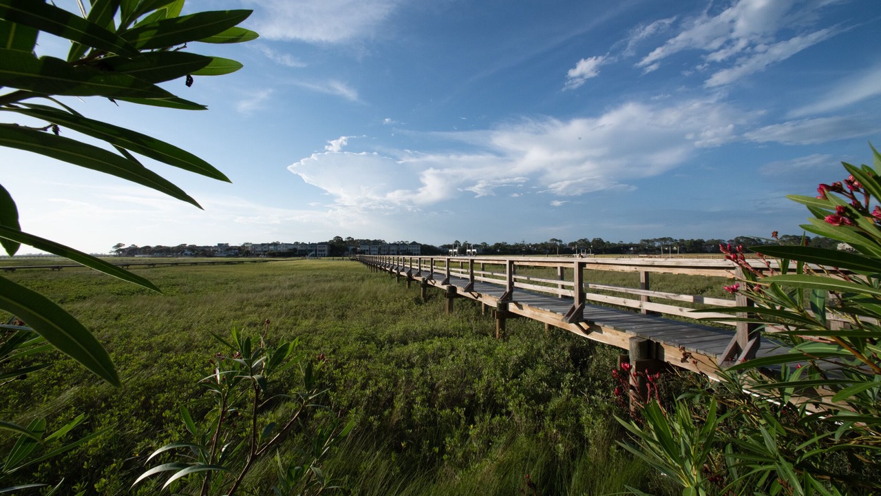 Photo of Outdoor in Saint Helena Island