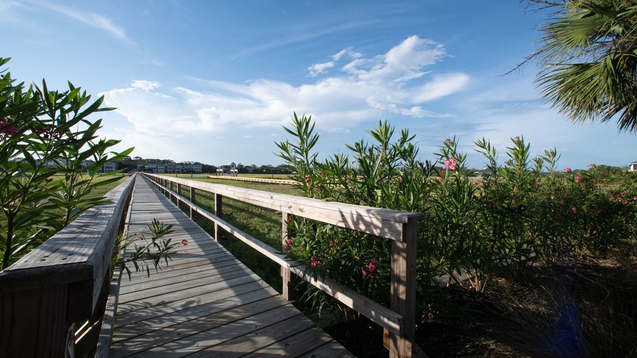 Photo of Outdoor in Saint Helena Island