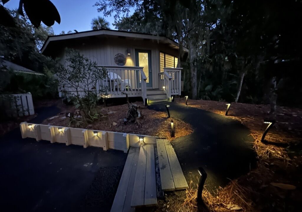 Photo of Outdoor in Night Heron