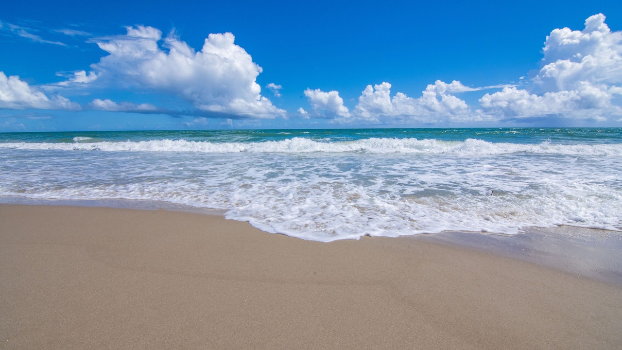 Photo of Others in Vero Beach
