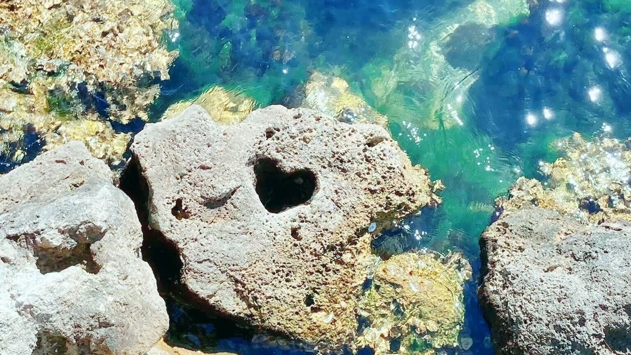 Photo of Others in Whitney Beach