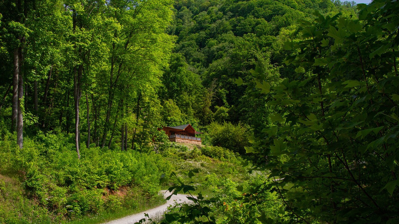 Photo of Outdoor in Bryson City