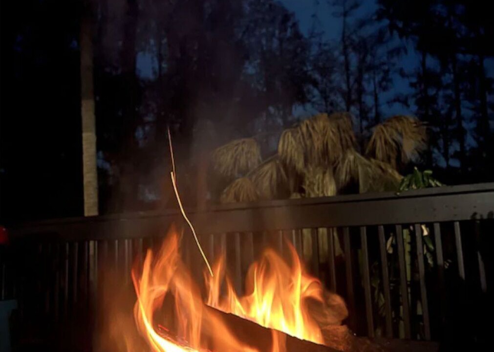 Photo of Outdoor in Fish Hawk