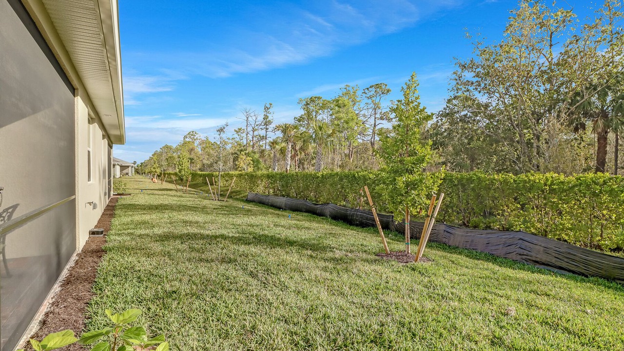 Photo of Outdoor in Naples