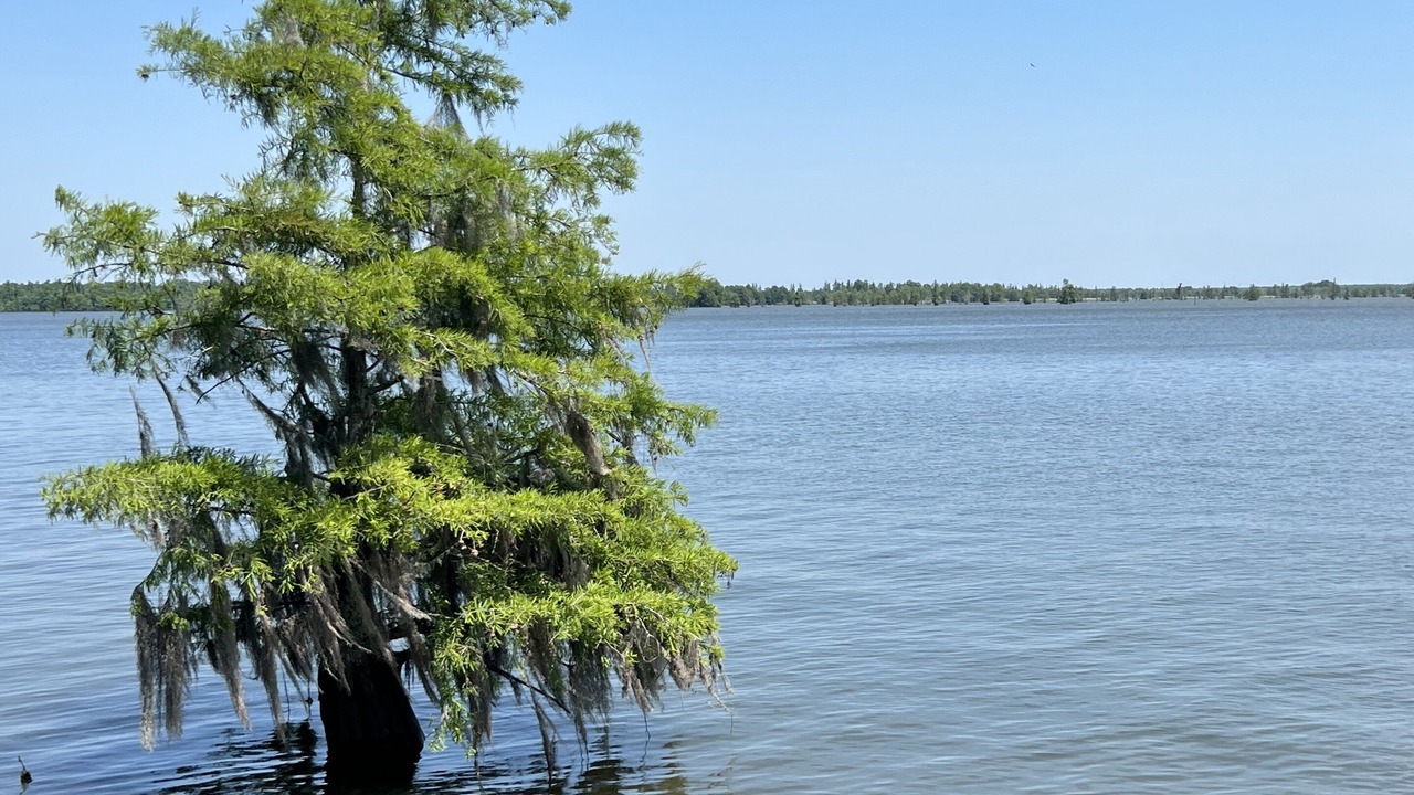 Photo of Others in Calhoun County