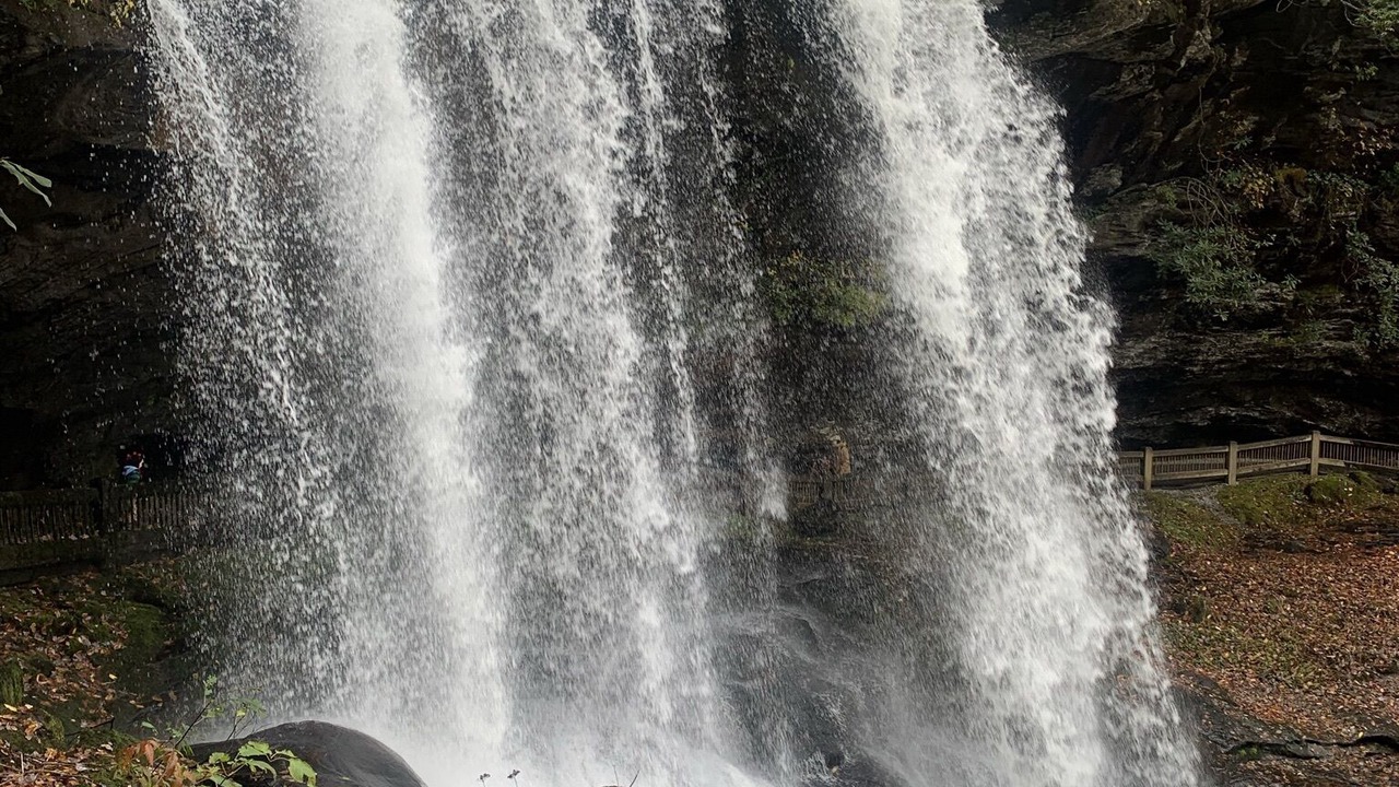 Photo of Others in Cullowhee
