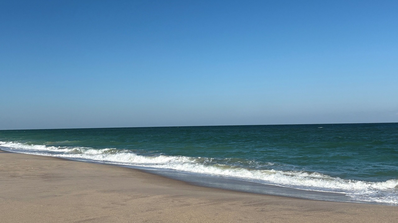 Photo of Others in Melbourne Beach