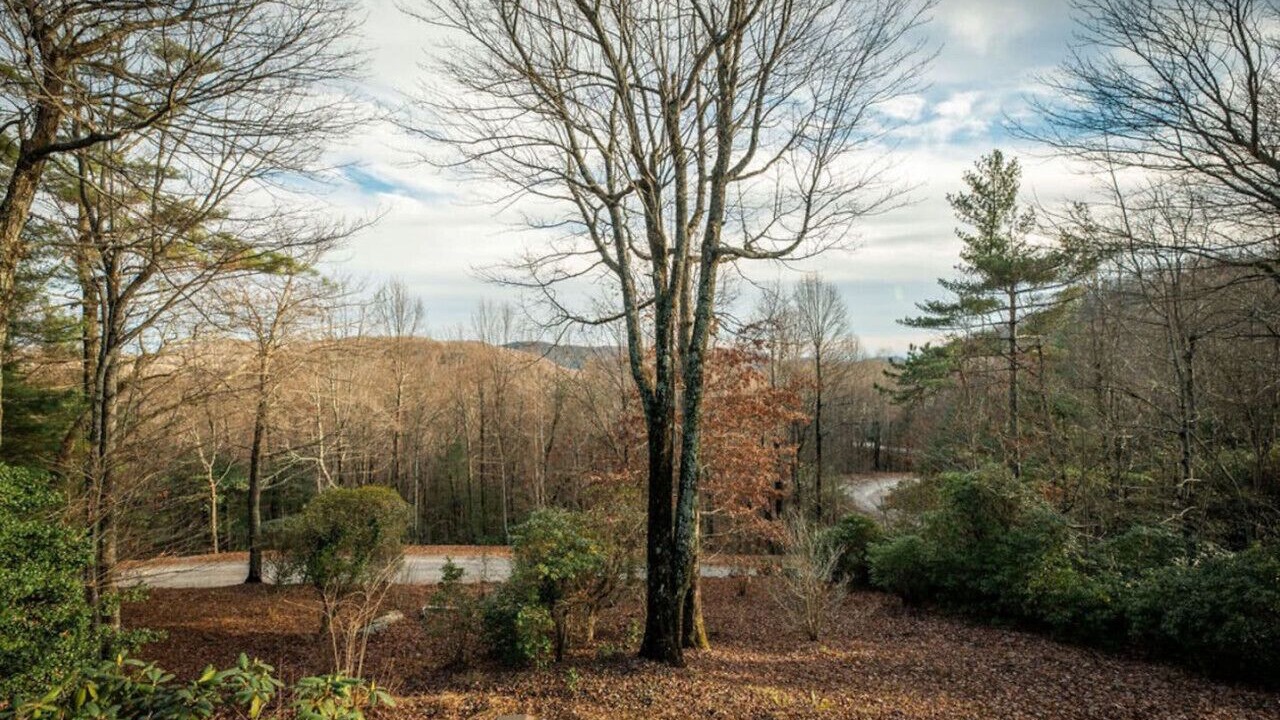 Photo of Outdoor in Rosman