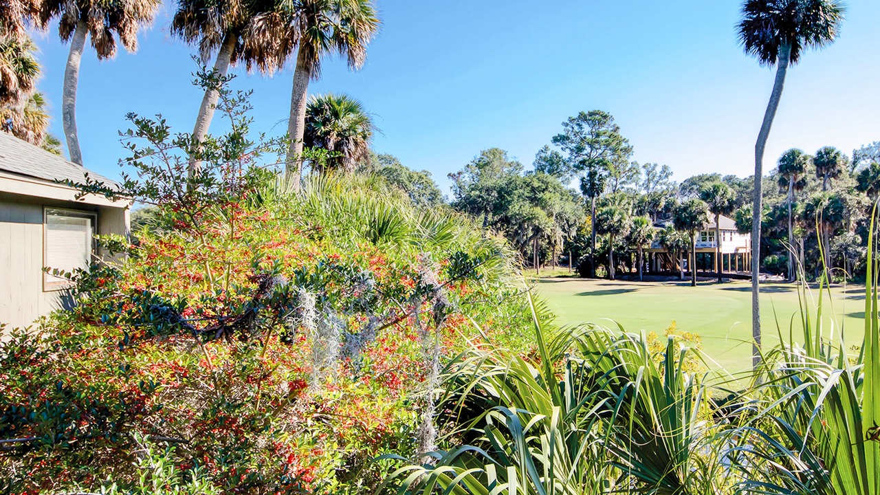 Photo of Outdoor in Ocean Ridge