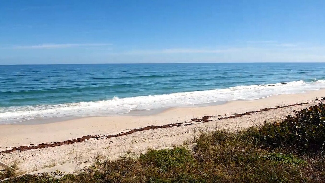 Photo of Others in Melbourne Beach