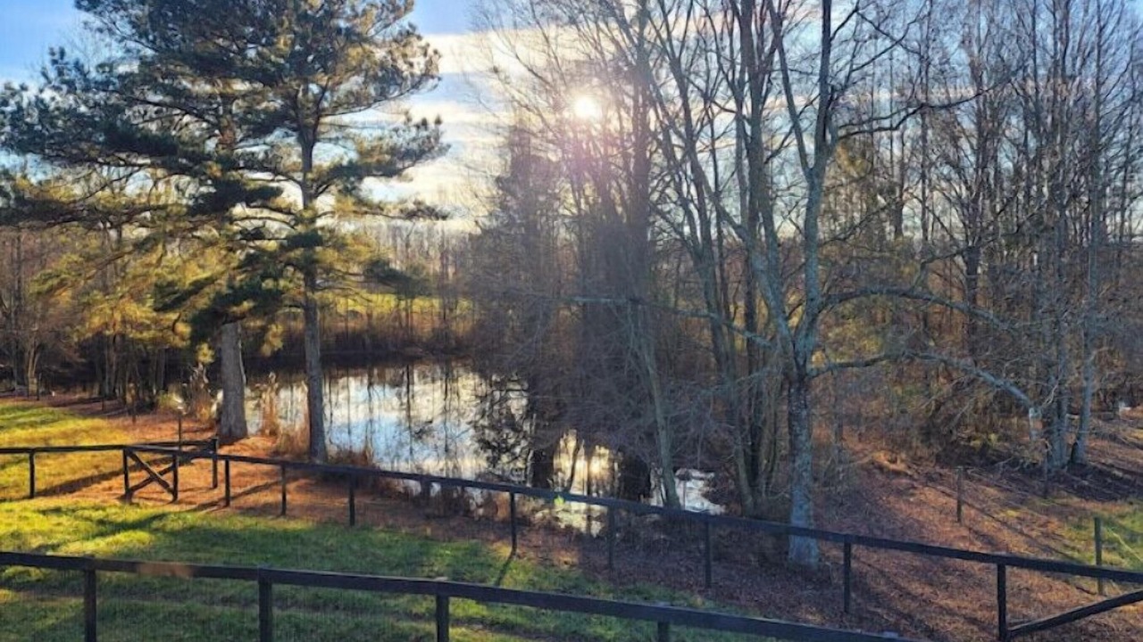 Photo of Outdoor in Comer