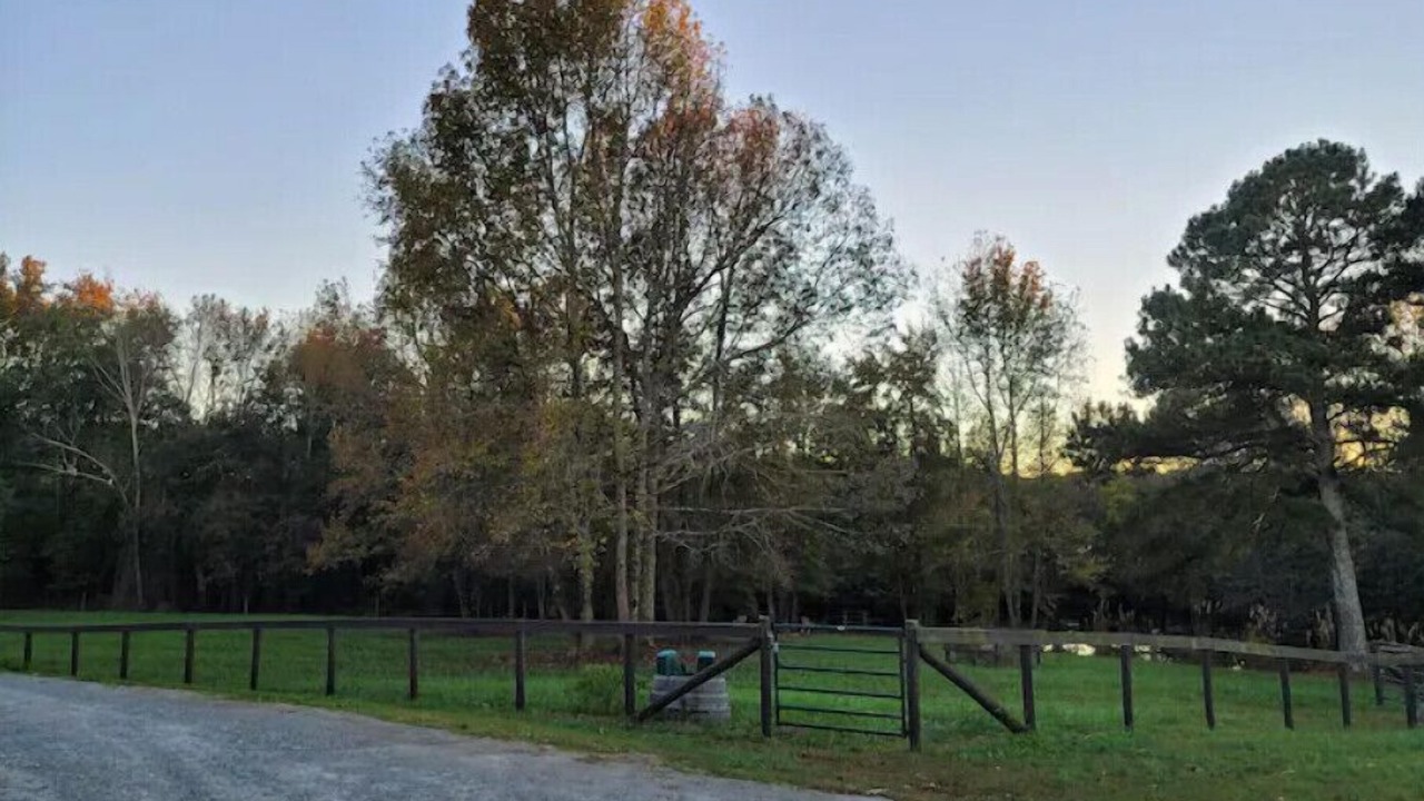 Photo of Outdoor in Comer