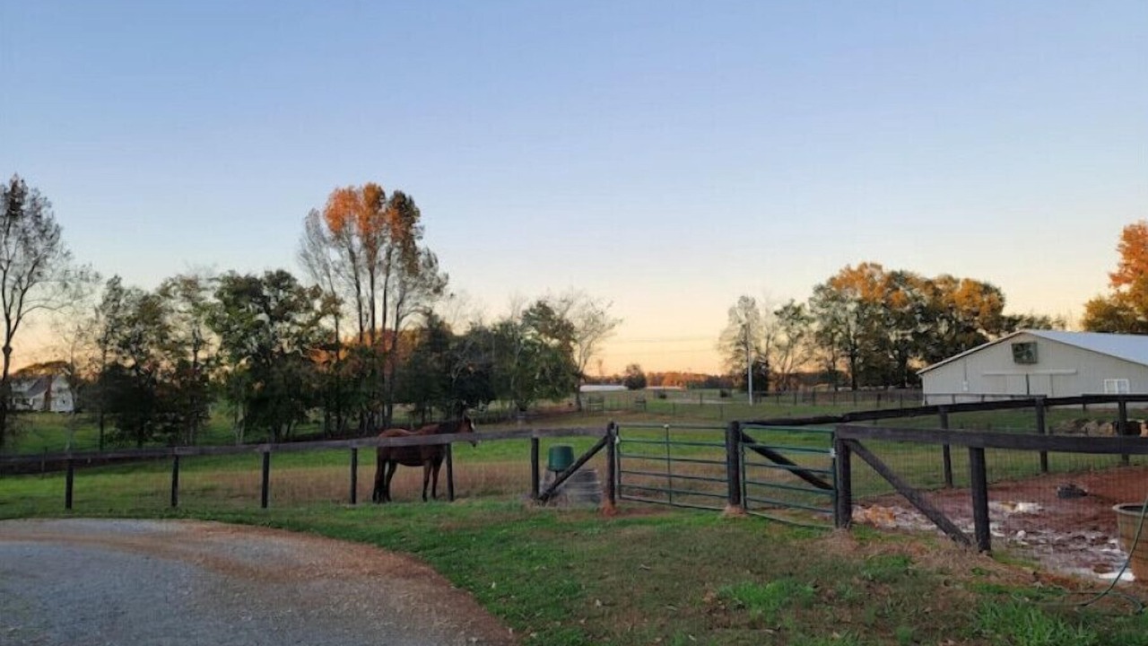 Photo of Outdoor in Comer