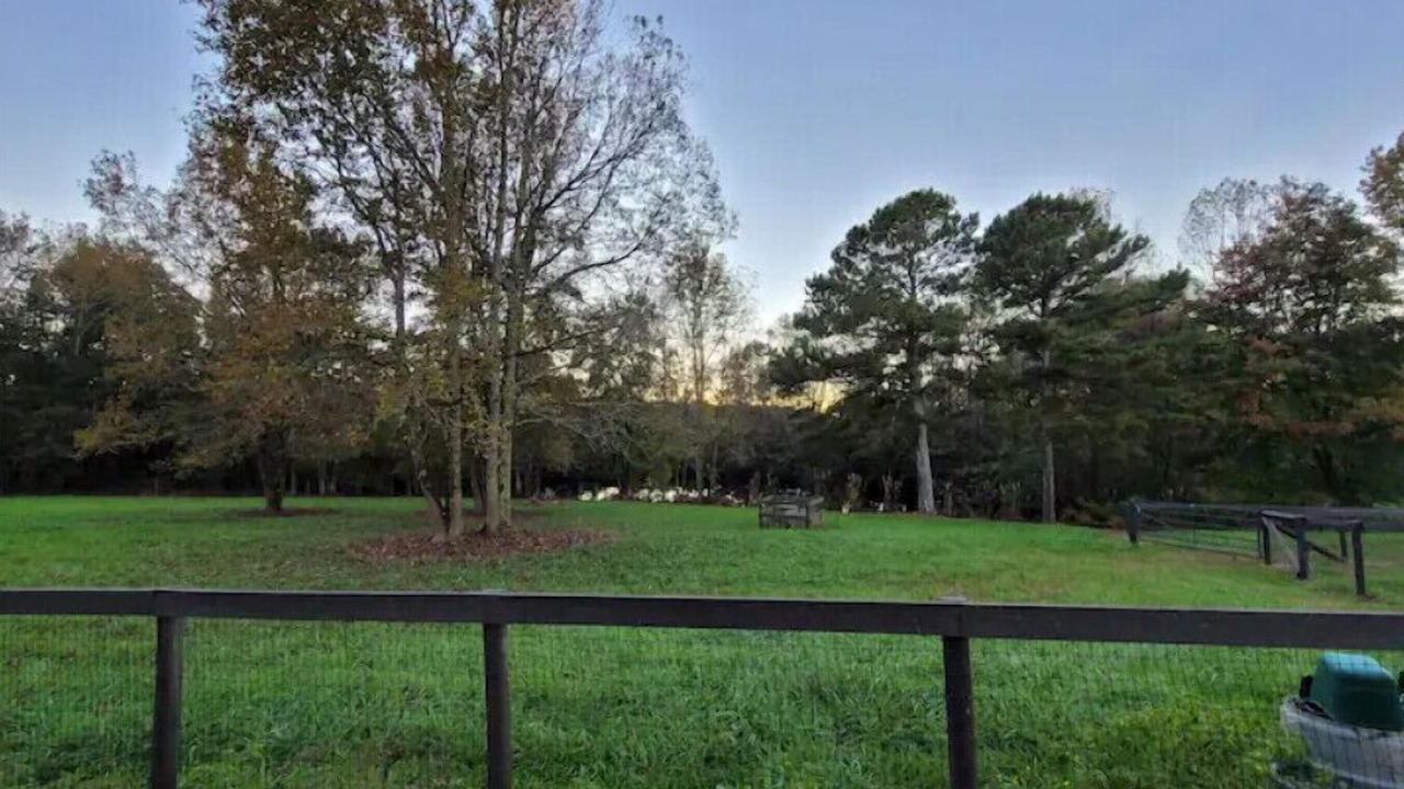 Photo of Outdoor in Comer