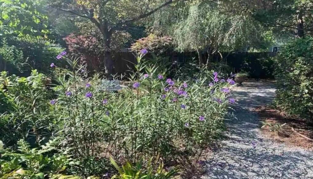 Photo of Outdoor in Florence