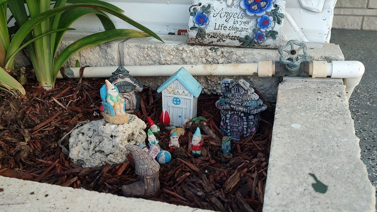 Photo of Outdoor in Betmar Acres