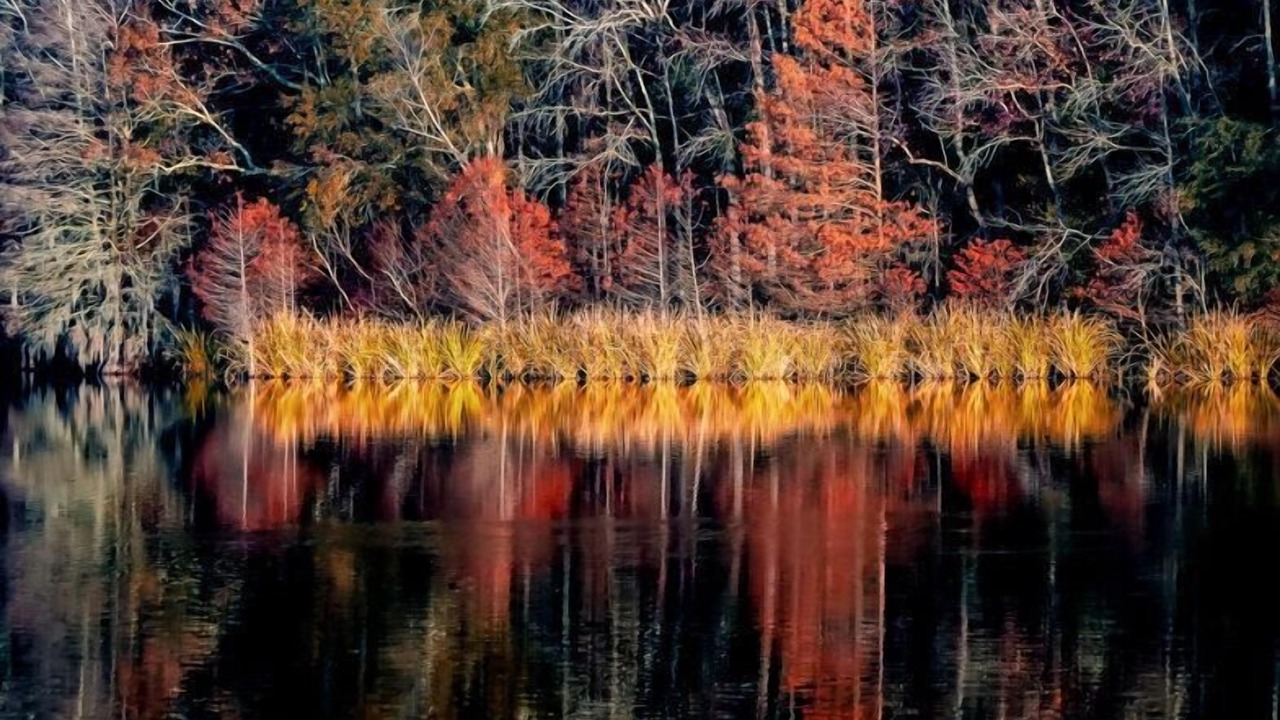 Photo of Outdoor in Eutawville