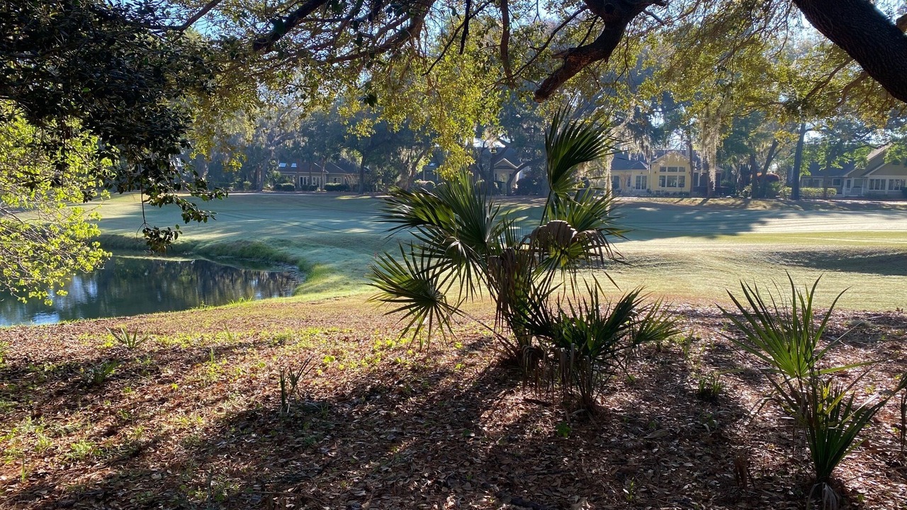 Photo of Outdoor in Beaufort