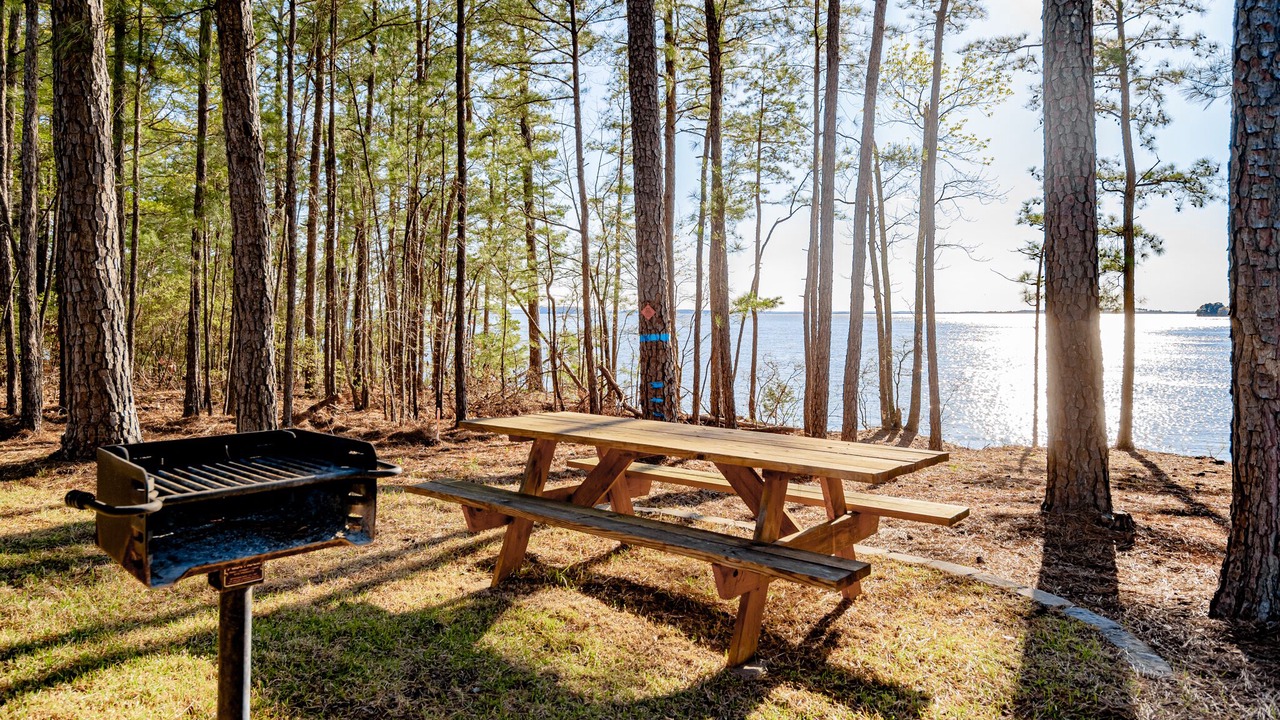 Photo of Outdoor in Jenkinsville