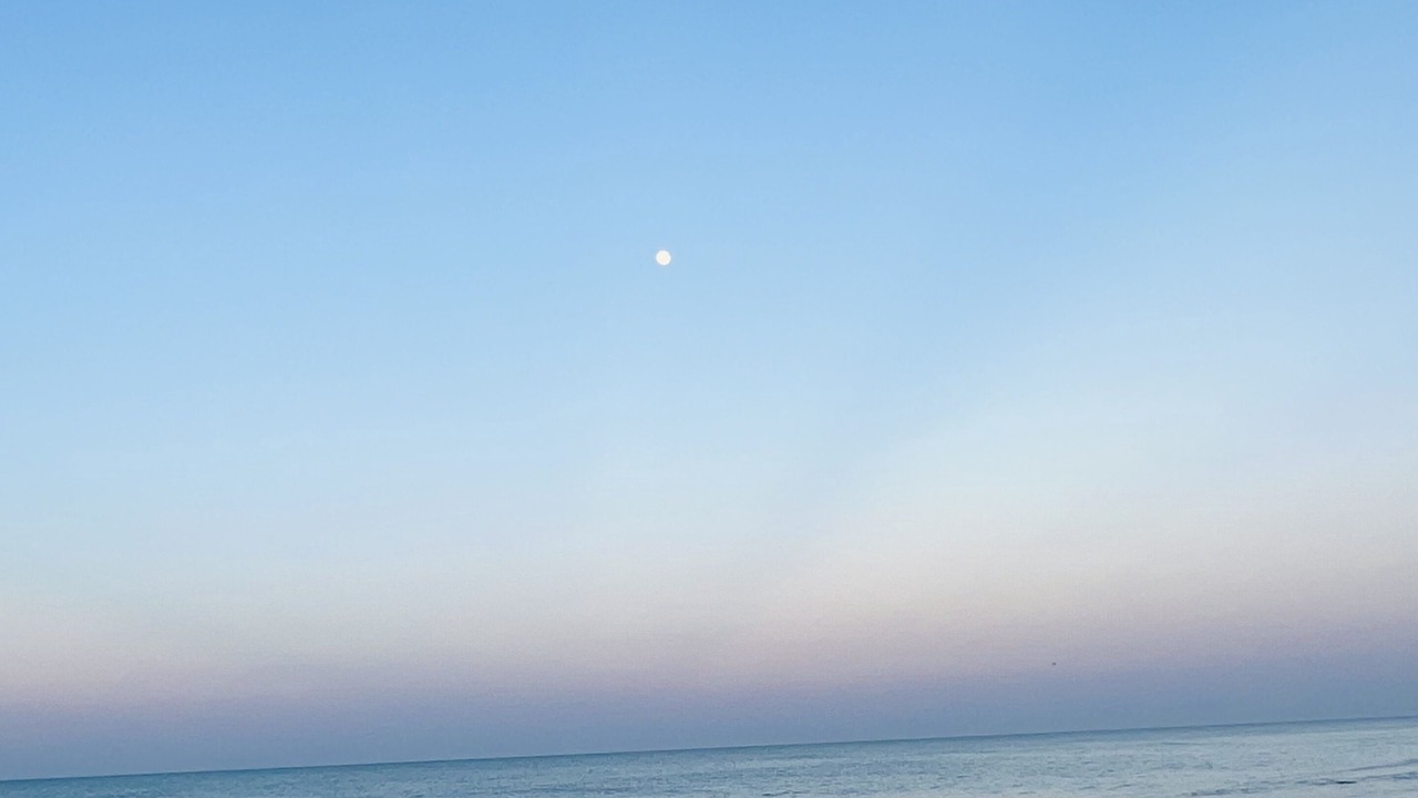 Photo of Others in Melbourne Beach