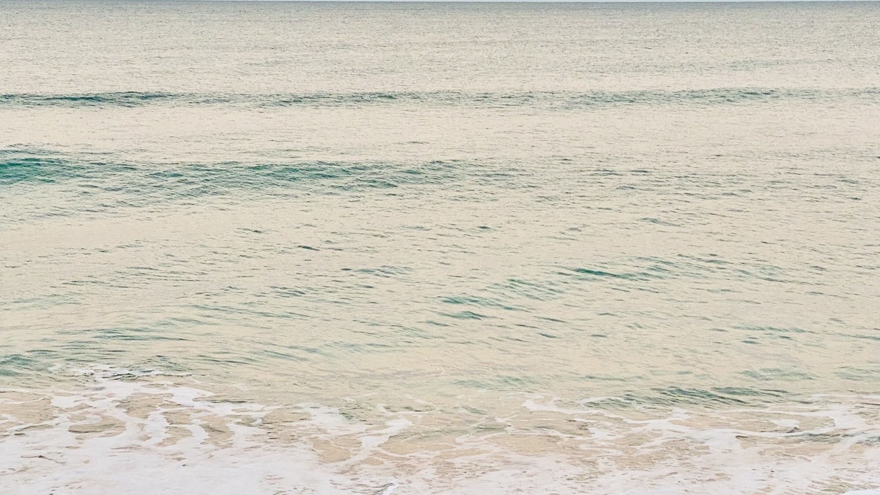 Photo of Others in Melbourne Beach