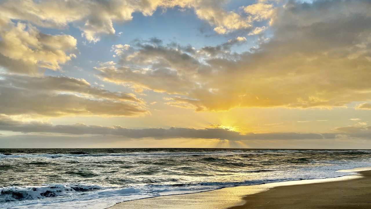 Photo of Others in Melbourne Beach