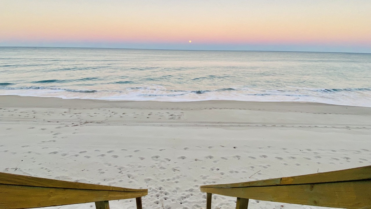 Photo of Others in Melbourne Beach