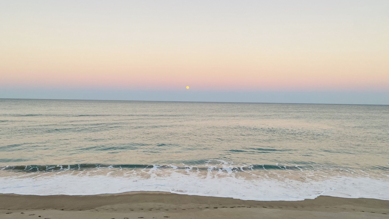 Photo of Others in Melbourne Beach