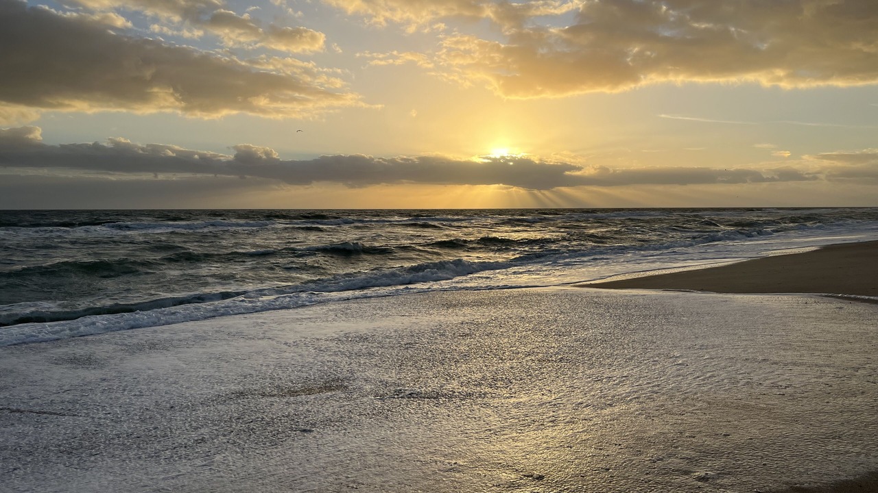 Photo of Others in Melbourne Beach