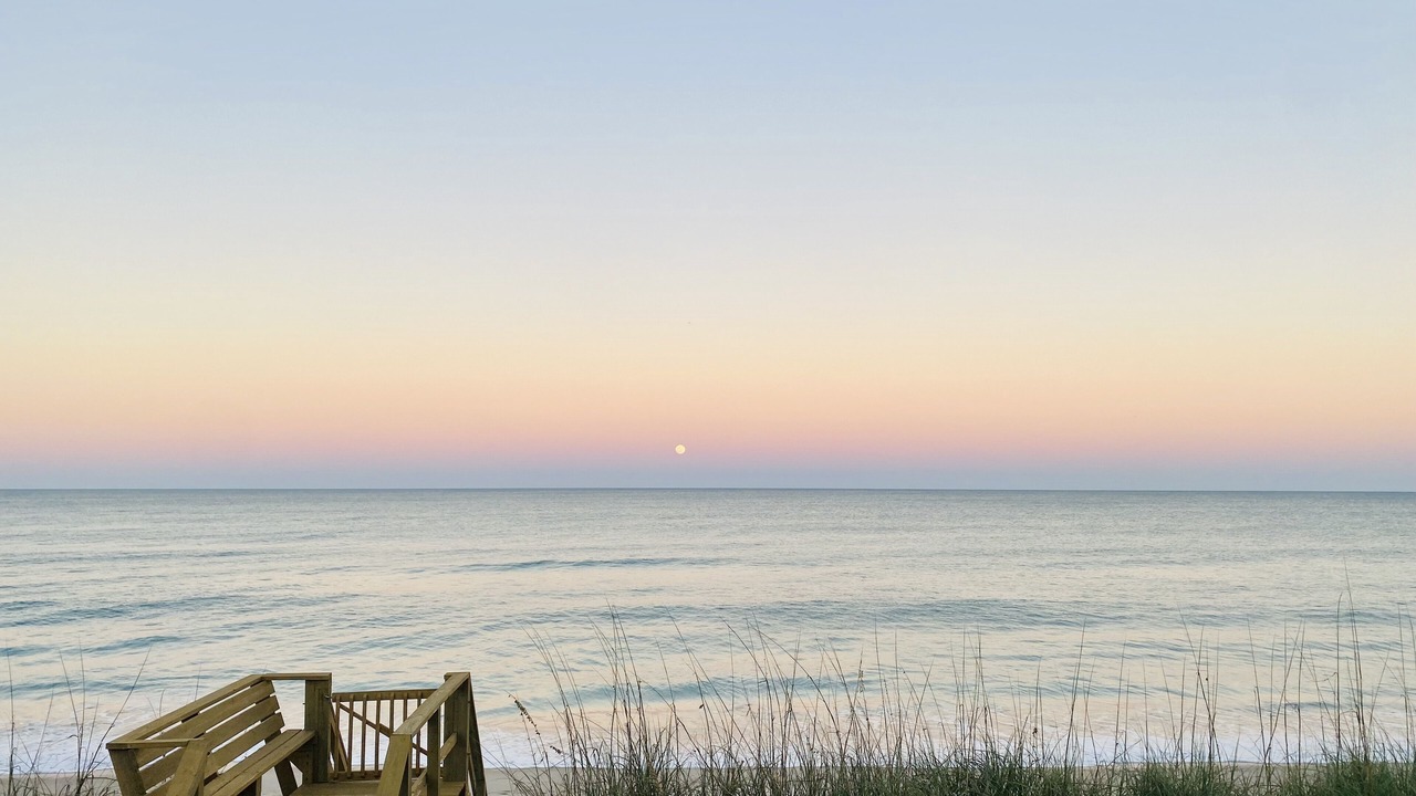 Photo of Others in Melbourne Beach