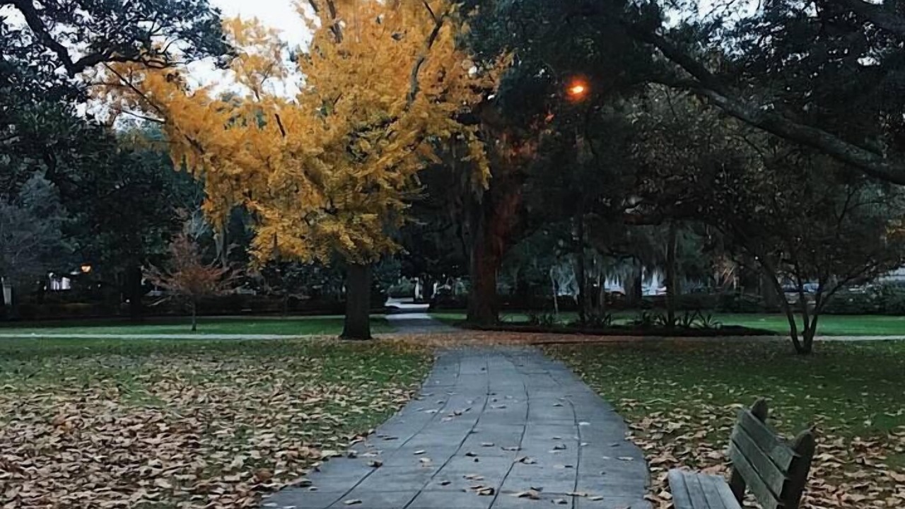 Photo of Others in Dixon Park