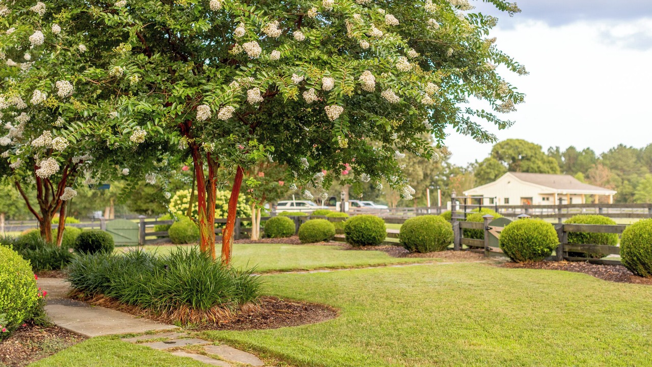 Photo of Outdoor in Aiken