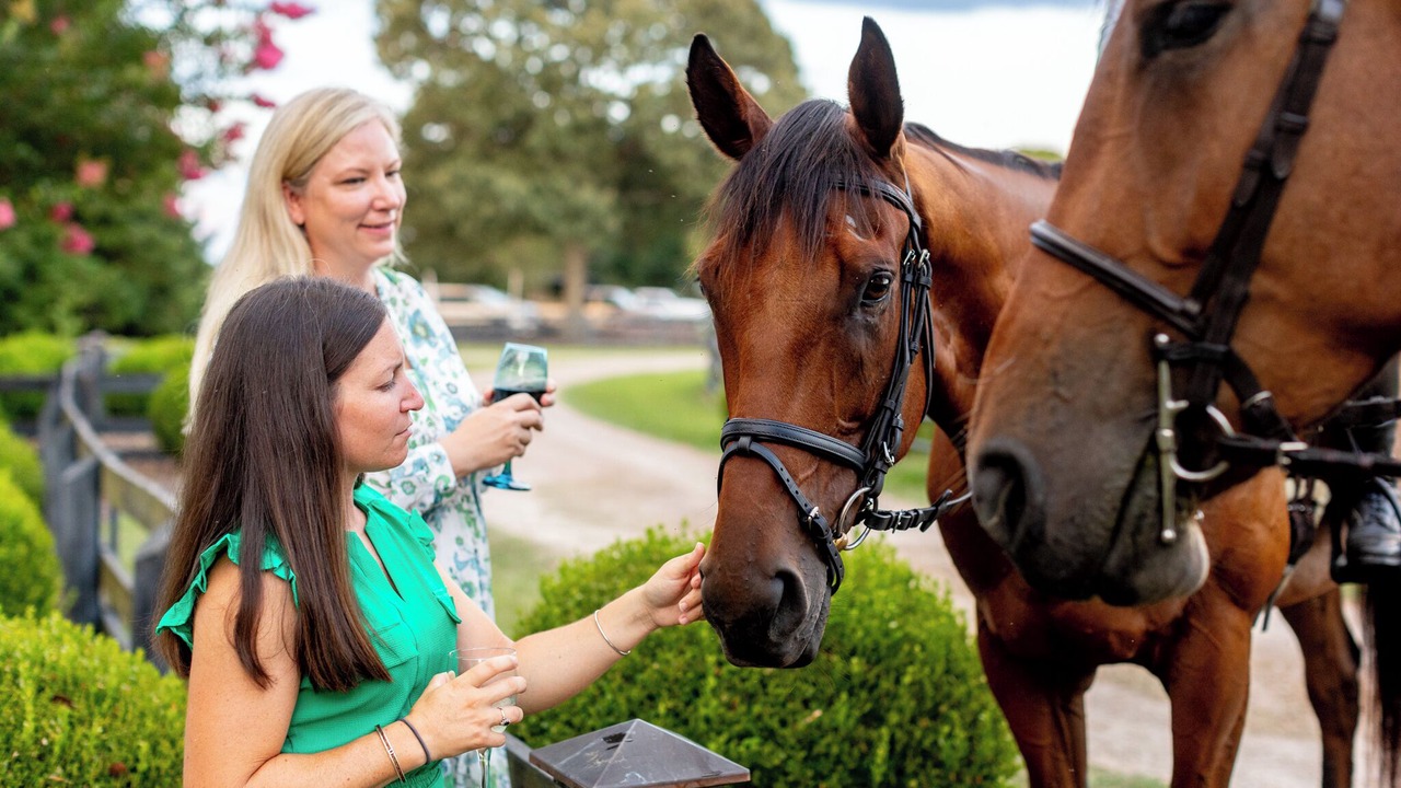 Photo of Others in Aiken