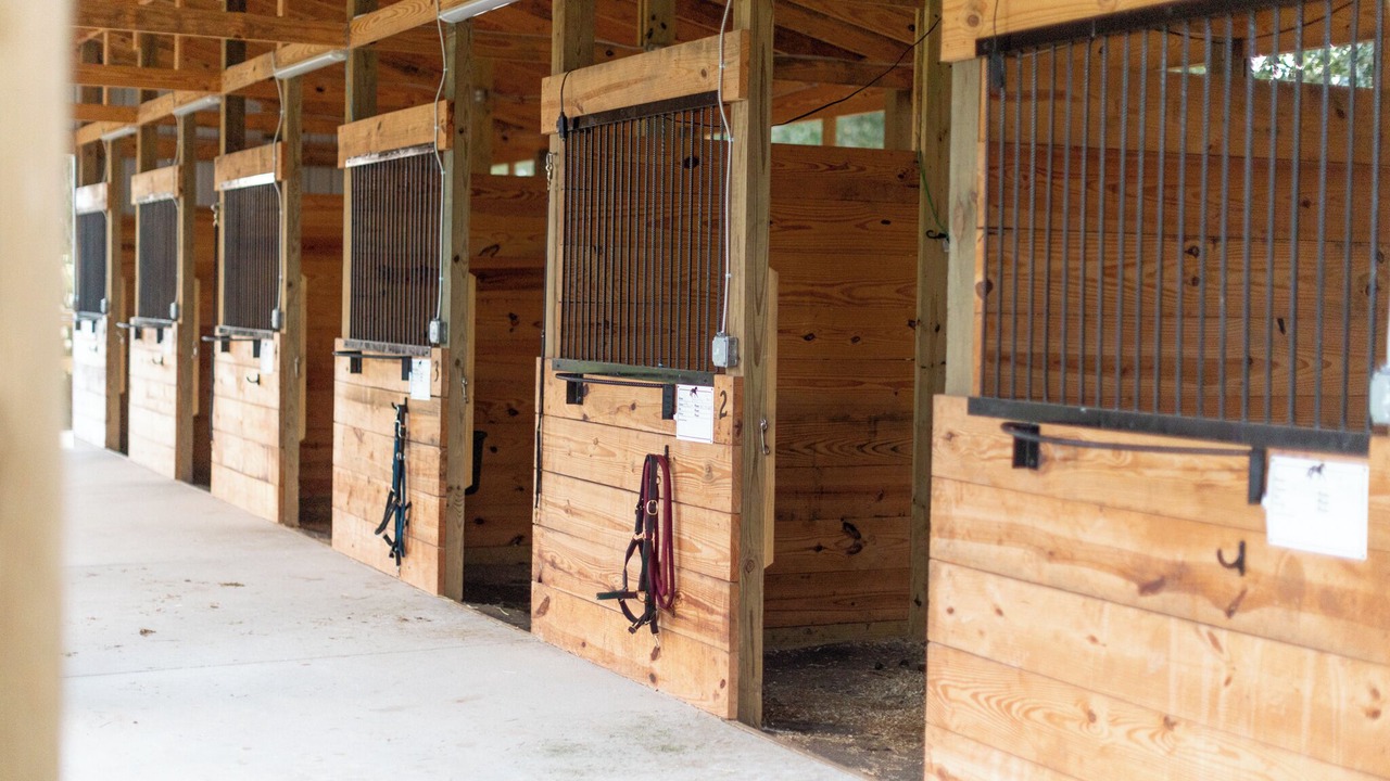 Photo of Outdoor in Aiken