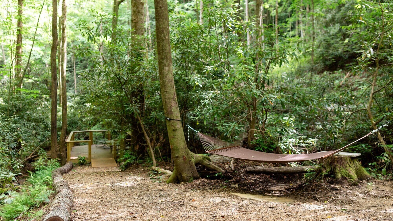 Photo of Outdoor in Brevard