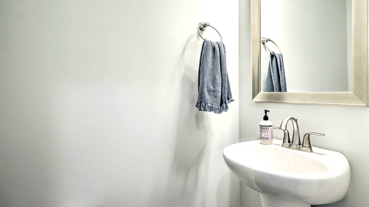 Photo of Bathroom in Chapin