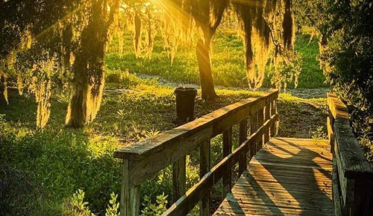 Photo of Outdoor in Port Royal