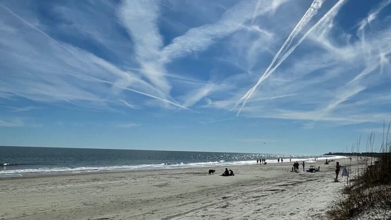 Photo of Others in Folly Field