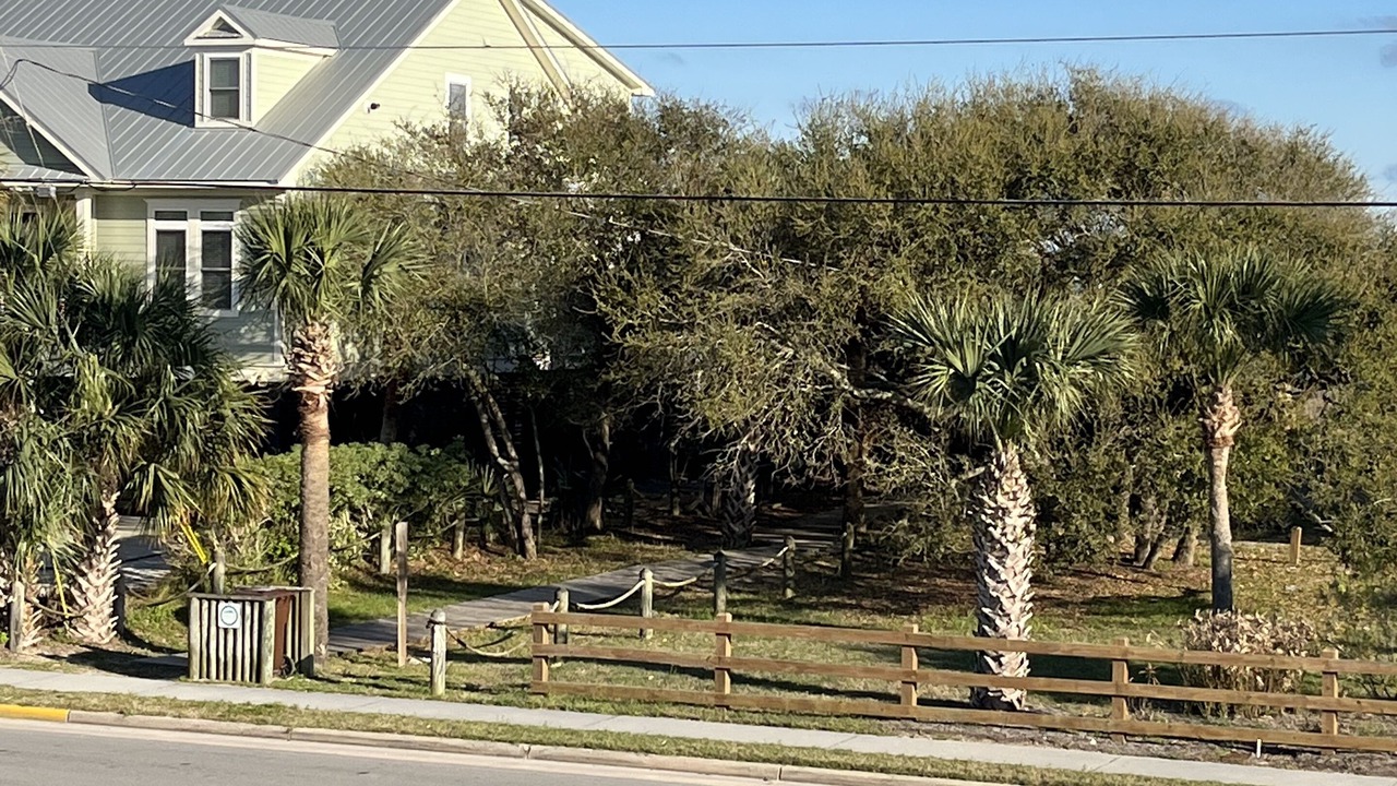 Photo of Outdoor in Edisto Island
