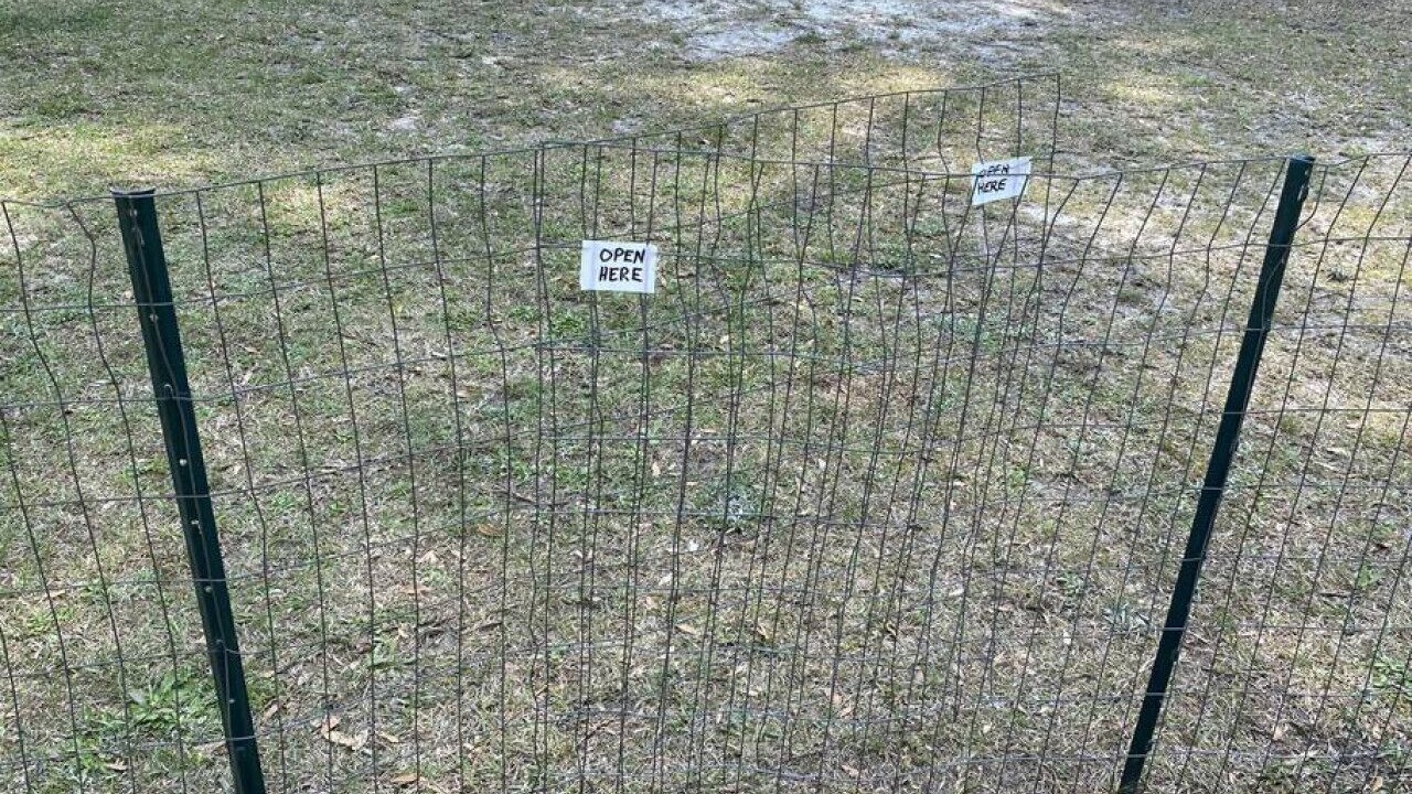 Photo of Outdoor in Conway