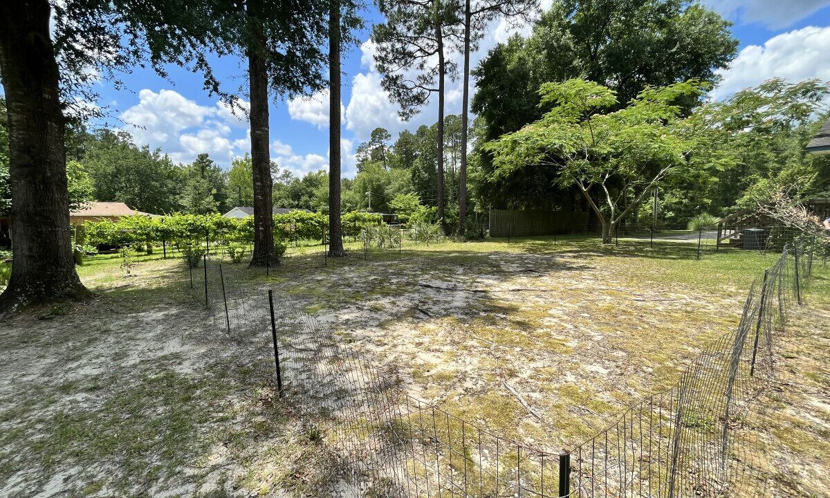 Photo of Outdoor in Conway