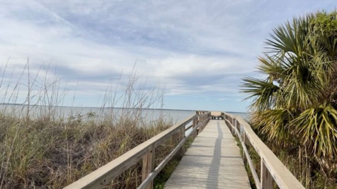 Photo of Others in Tybee Island