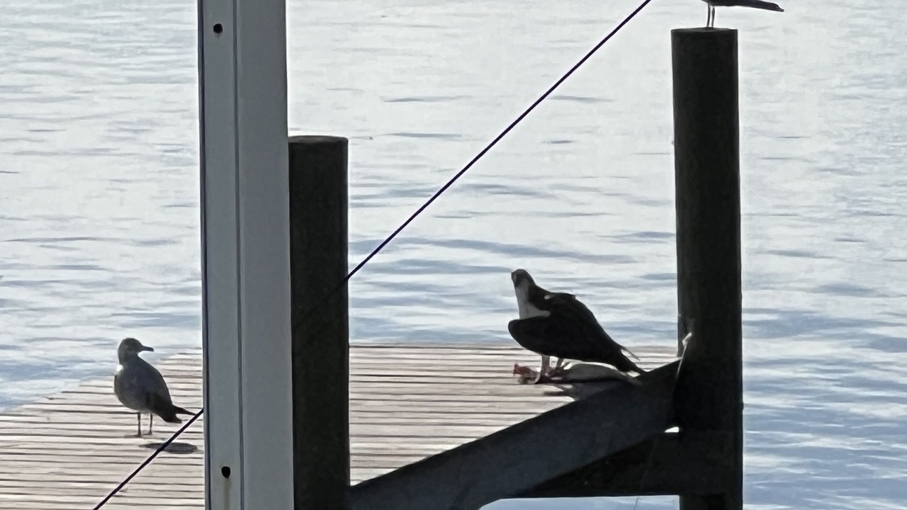 Photo of Others in Whitney Beach