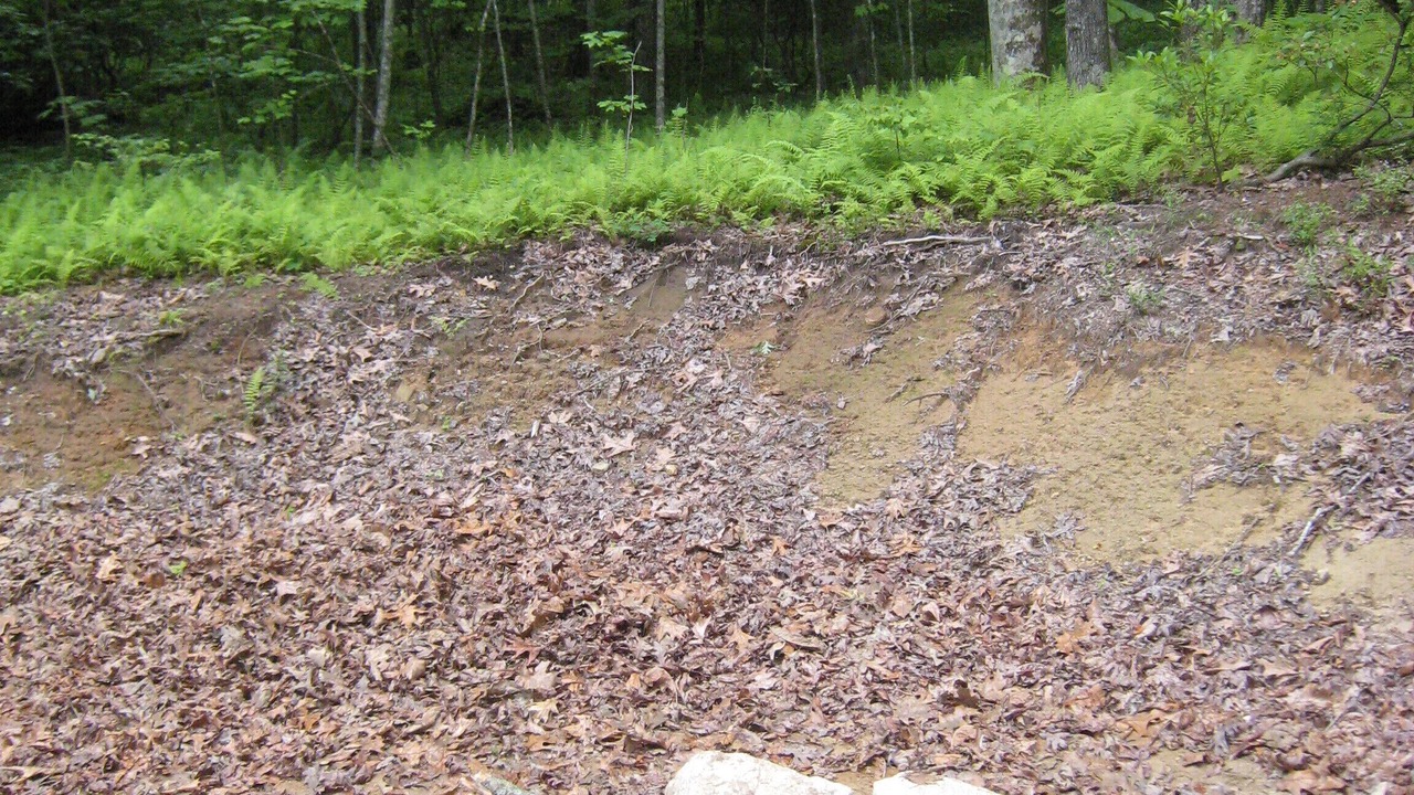 Photo of Others in Brevard