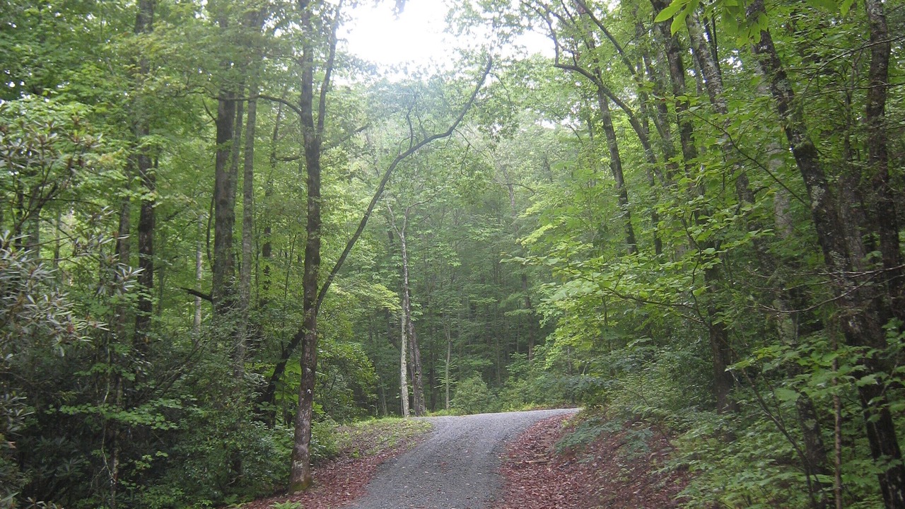 Photo of Outdoor in Brevard