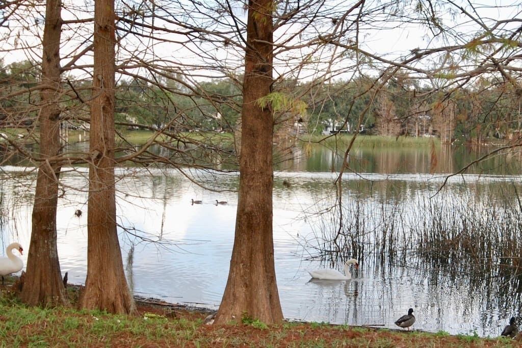 Photo of Outdoor in Lake Davis - Greenwood